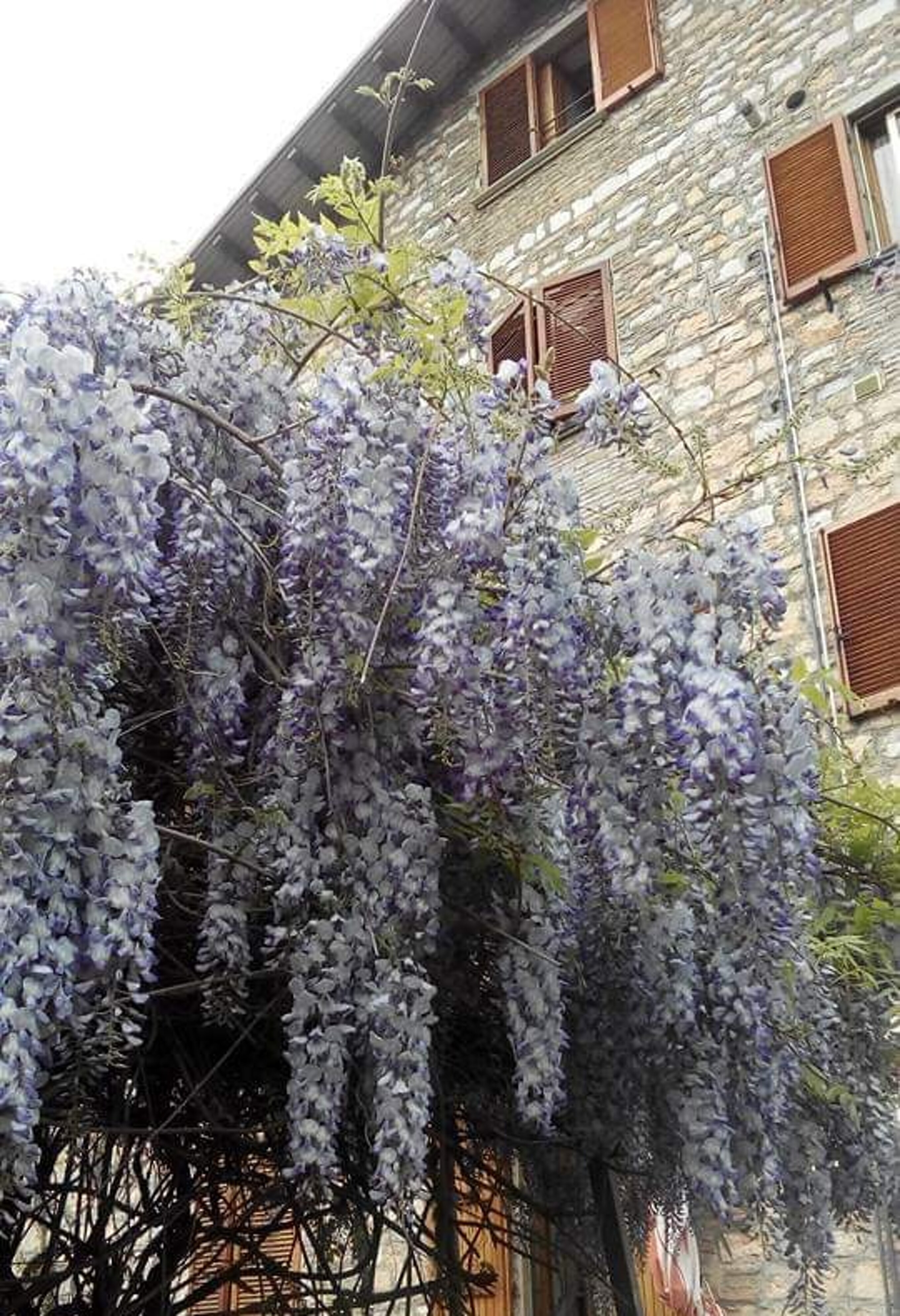 f7e2326c-23e8-4caf-a3c1-8adbb7af62e1 f7e2326c-23e8-4caf-a3c1-8adbb7af62e1