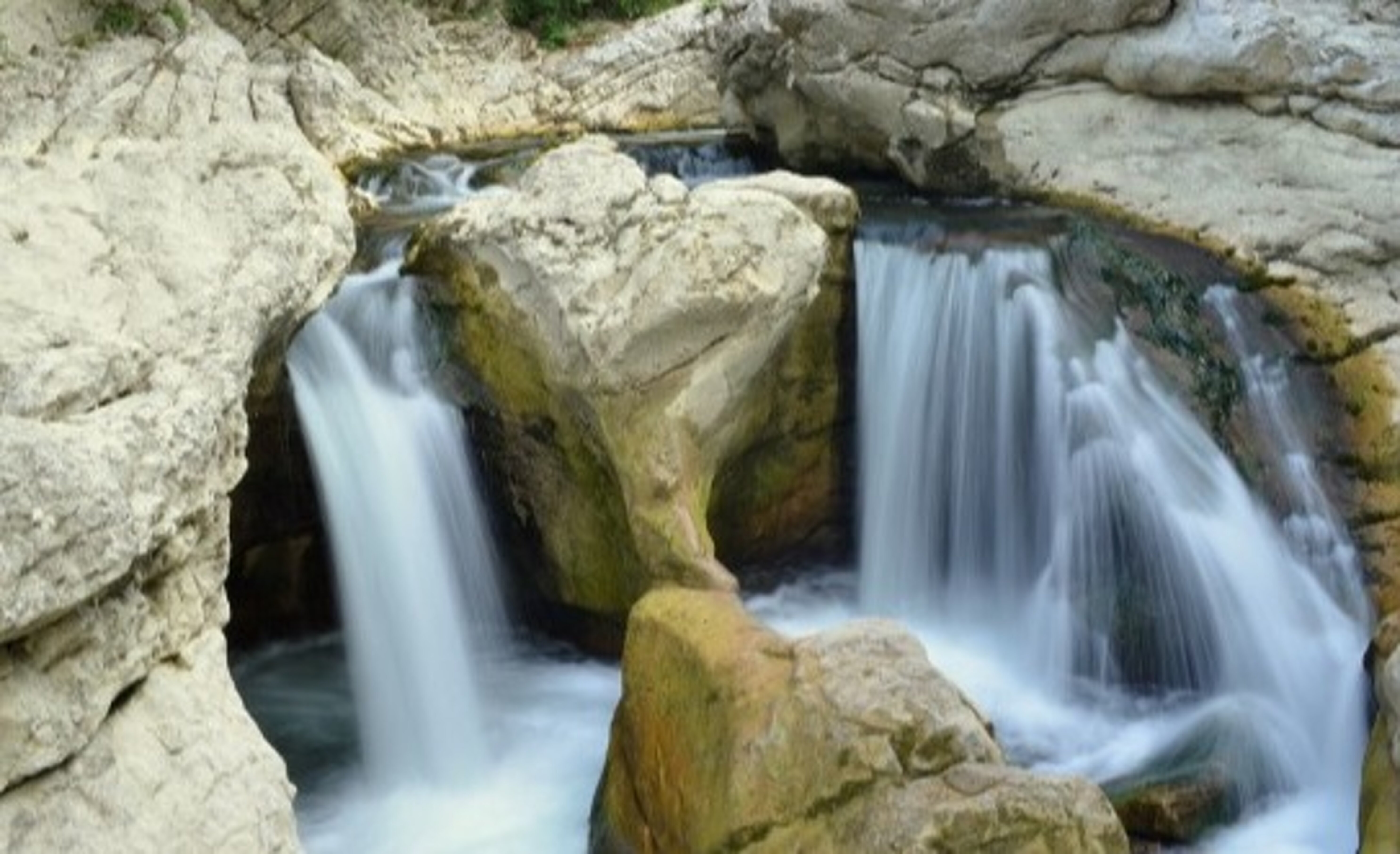 f4fb3308-c2fe-4afa-8374-1ac0d5474005 f4fb3308-c2fe-4afa-8374-1ac0d5474005