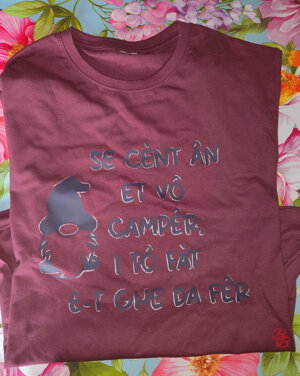 magliette-con-frasi-in-dialetto