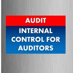internal-control-for-auditors-alrqabt-aldakhlyt-llmdqqyn