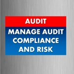 managing-audit-compliance-and-risk-adart-alamtthal-walmkhatr-fy-altdqyq