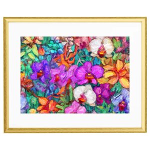 my-orchids-by-franco-fabiano