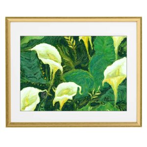 white-callas-by-franco-fabiano