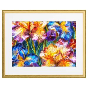 vibrant-colors-by-franco-fabiano