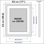 purple-flowers-by-franco-fabiano