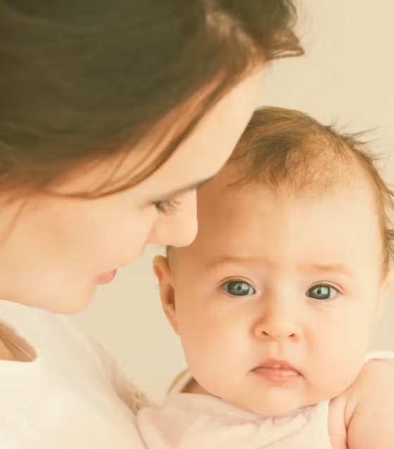 fe821393-6b80-4948-9f8d-7f55661a6664 fe821393-6b80-4948-9f8d-7f55661a6664