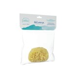 laboratorio-silvana-spugna-marina-naturale