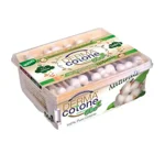 dermacotone-cotton-fioc-baby-biodegradabile-econaturals