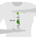 basilico-olio-extravergine-di-oliva-200-ml