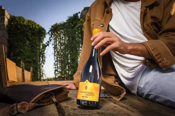 a79c29f4-f82f-4341-a31b-35d2daf85c72