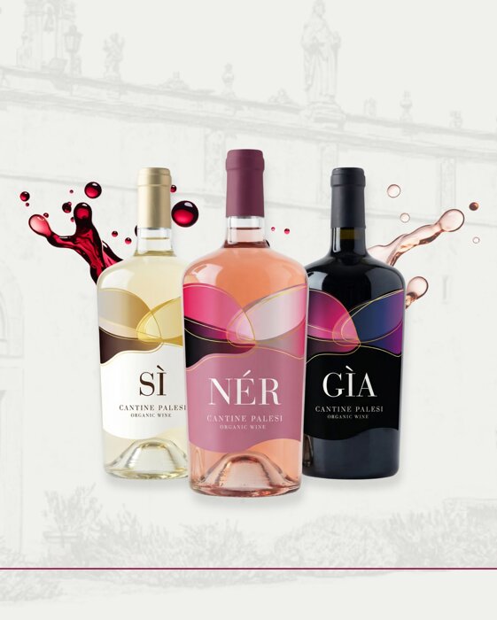 sinergia vini cantina palesi.jpeg sinergia vini cantina palesi.jpeg