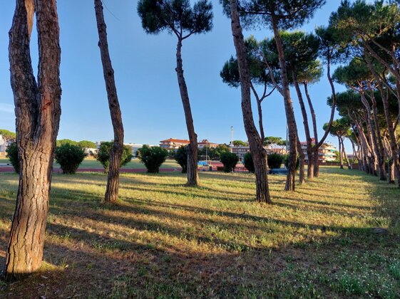 dbe039dd-cfc6-40a7-9993-9106f1581c68 dbe039dd-cfc6-40a7-9993-9106f1581c68