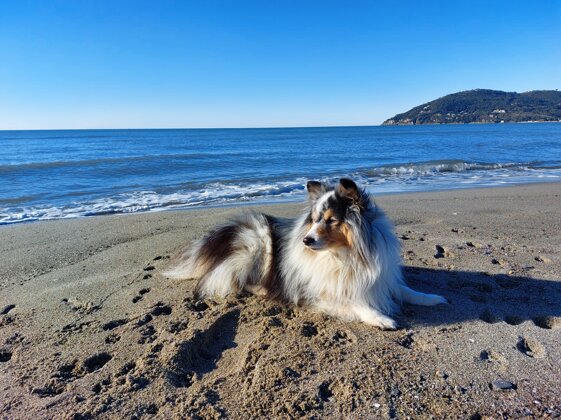 00130b63-c3e1-449c-a29f-ab04d1fad953 00130b63-c3e1-449c-a29f-ab04d1fad953