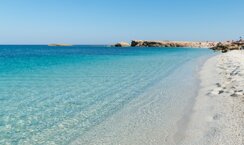 veverkolog-tharros-6650813_1280.jpeg