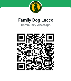 shared_qr_code