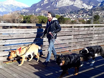 Corso per aspiranti Dog e Pet Sitter Corso per aspiranti Dog e Pet Sitter