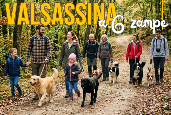 valsassina a 6 zampe valsassina a 6 zampe