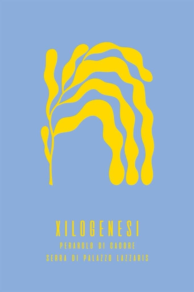 8 AGOSTO 2025 - Xilogenesi