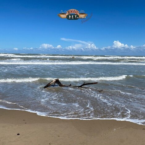 img_0252.jpeg img_0252.jpeg