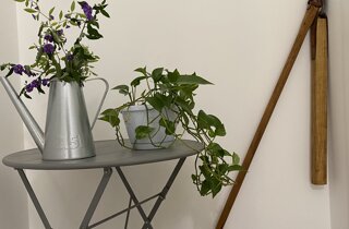 img_7904.jpeg img_7904.jpeg