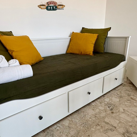 13b323e9-4f9f-4dd7-8875-d71765496d7e 13b323e9-4f9f-4dd7-8875-d71765496d7e