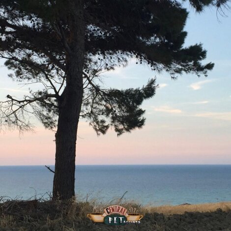 colazione%202.jpeg colazione%202.jpeg