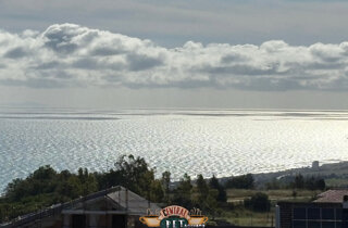 img_1508.jpeg img_1508.jpeg