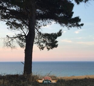 9b4c6a0f-808f-4850-bd0c-cb06fcc50d04.jpeg 9b4c6a0f-808f-4850-bd0c-cb06fcc50d04.jpeg