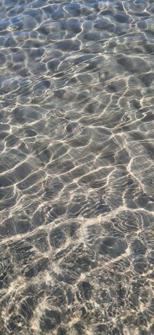 4f19f760-100a-482f-aae4-231e4b4f9e8b 4f19f760-100a-482f-aae4-231e4b4f9e8b