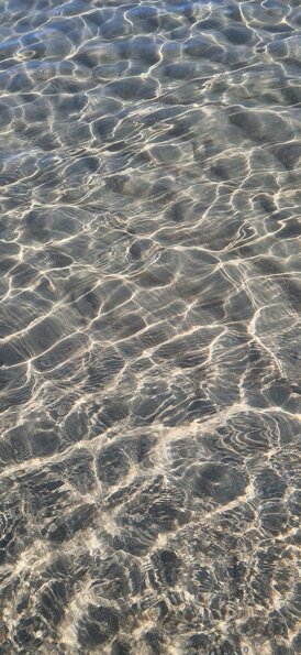 4f19f760-100a-482f-aae4-231e4b4f9e8b