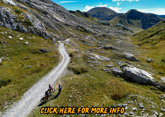 28156c22-f1f0-4f07-8e5e-c9f41128445c