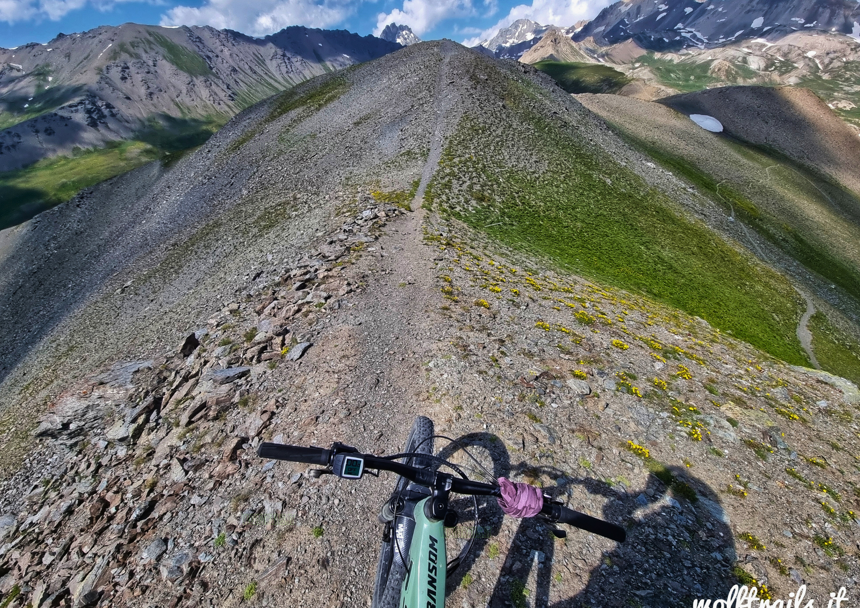 42091f64-1f4c-4d47-bb2c-4dfafbb9554a