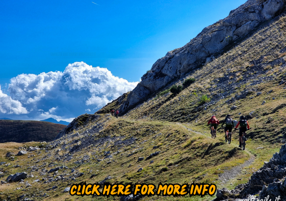 0c049bd8-cae4-4503-bfaa-e3ca08fedebc