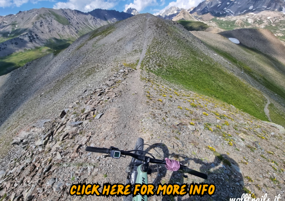 12a366a8-1504-4f00-beee-1c5f8437befc