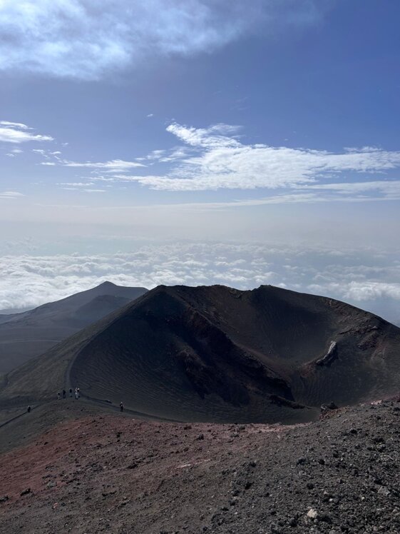 80923ddf-1222-4dcd-aad8-e123c2c054a6