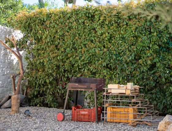 ae9e95d9-f261-4dec-8d52-7b1b9abeb9c8 ae9e95d9-f261-4dec-8d52-7b1b9abeb9c8