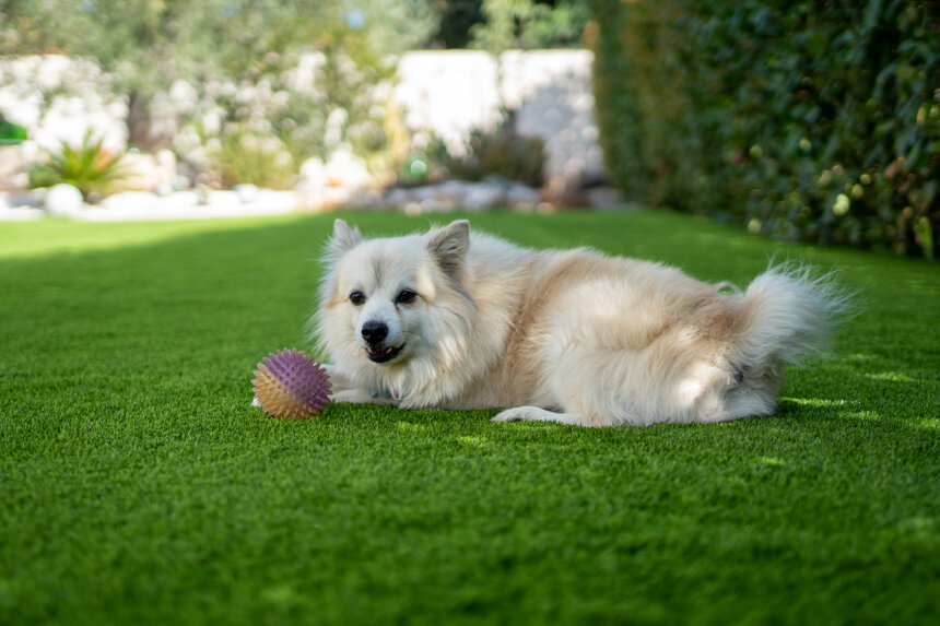 9b63a76e-275c-4562-8ca3-56ca3c88e0c0