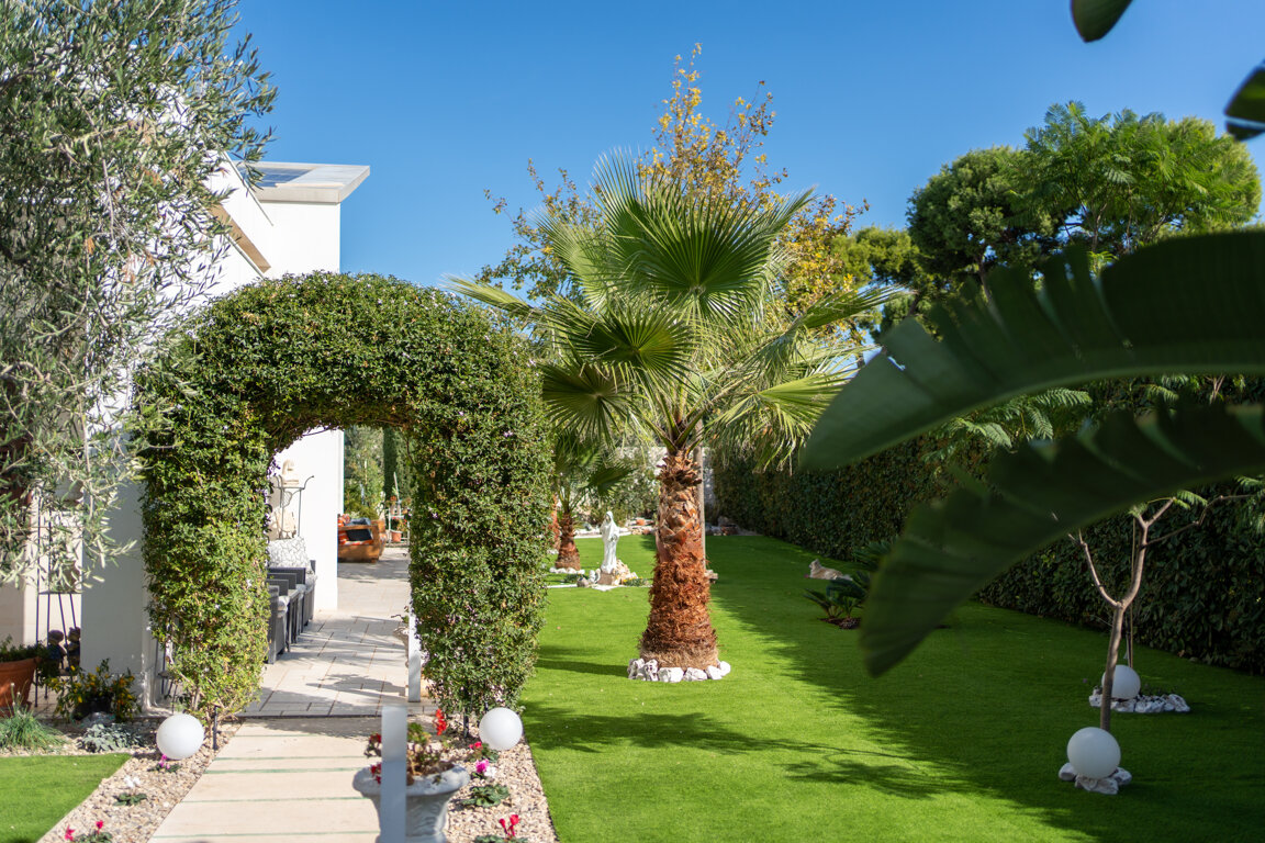 8e83580e-5ffd-4d5b-a42a-5353dc87985d.jpeg 8e83580e-5ffd-4d5b-a42a-5353dc87985d.jpeg