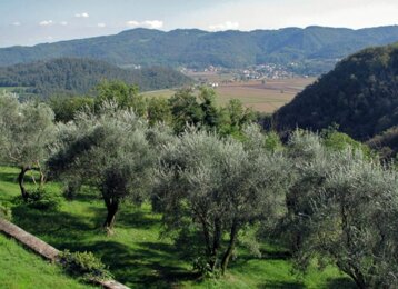 ba395b2c-4961-4035-80c6-9636905ff0ee