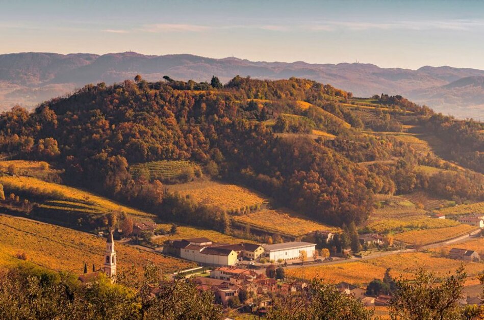 70de03a3-550a-4a91-98d2-b5d502ebca89 70de03a3-550a-4a91-98d2-b5d502ebca89