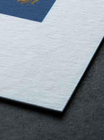 341e01ca-ef5d-4ce1-8047-84730d471d26