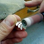 pendente-massonico-raffigurante-il-simbolo-dellacacia-in-argento