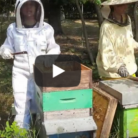 Vita da campo Un po di nozioni