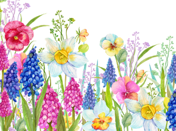 e9256f8d-a11e-4ef0-bf21-01101a0aedc2 e9256f8d-a11e-4ef0-bf21-01101a0aedc2