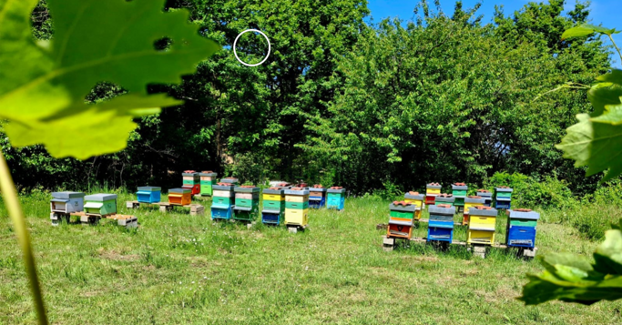 73b48372-da79-4807-8f22-fd6054f25613