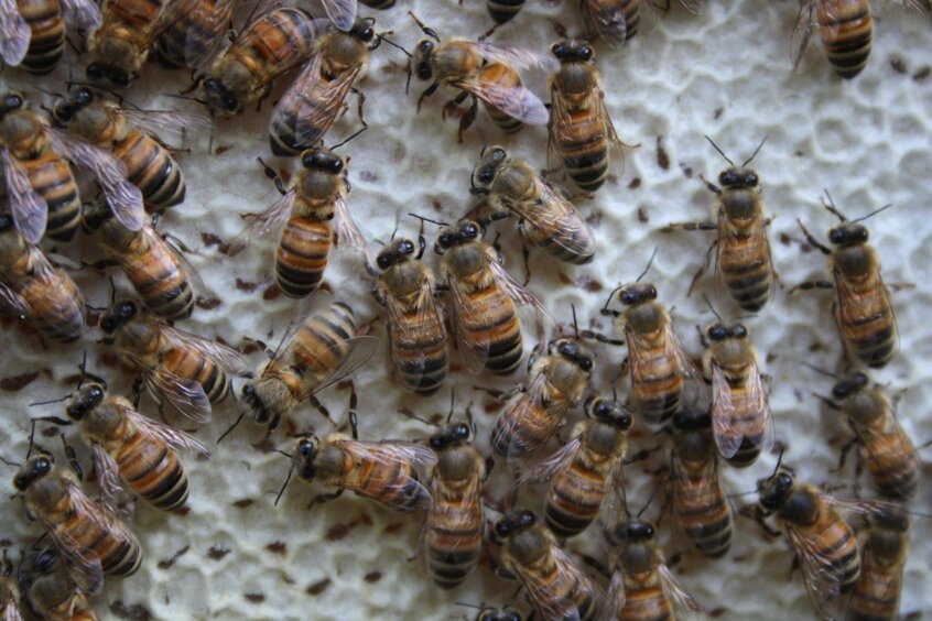 5e7077ce-37ed-47da-9f0d-0fee635b21c2 5e7077ce-37ed-47da-9f0d-0fee635b21c2