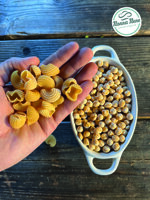 le-pipe-di-ceci-250-g