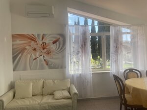 img_2844.jpeg img_2844.jpeg