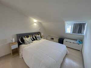 img_2856.jpeg img_2856.jpeg