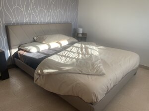 img_2847.jpeg img_2847.jpeg